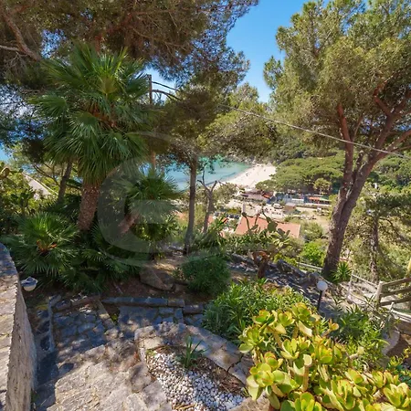 Casa Dell'asino - Goelba Apartment Fetovaia