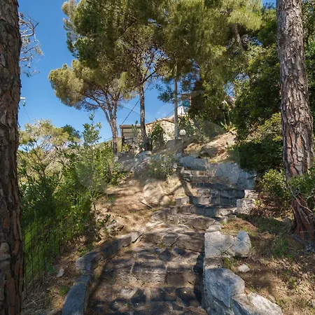Casa Dell'asino - Goelba Apartment