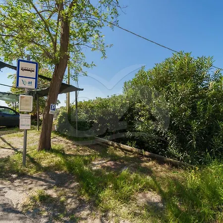 Apartment Casa Dell'asino - Goelba Fetovaia